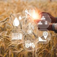 Smart farming concept. Farmer with technology digital tablet on background of wheat field. Professional farmers use internet of things (IOT) computers system to manage farms. agriculture modern idea.